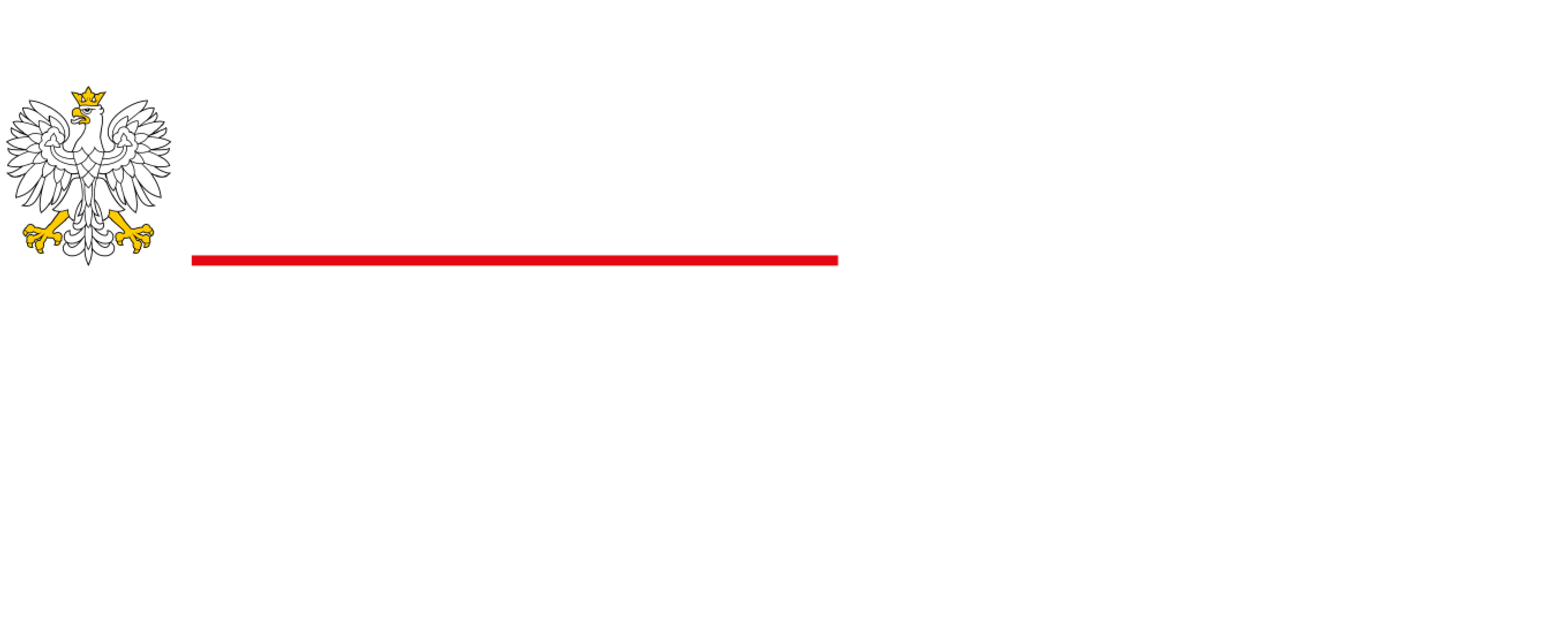 Ministerstwo Kultury i Dziedzictwa Narodowego oraz Narodowy Instytut Muzyki i Tańca — informacja o dofinansowaniu
